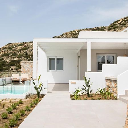 Theros Luxury Villas Damatria Exteriér fotografie