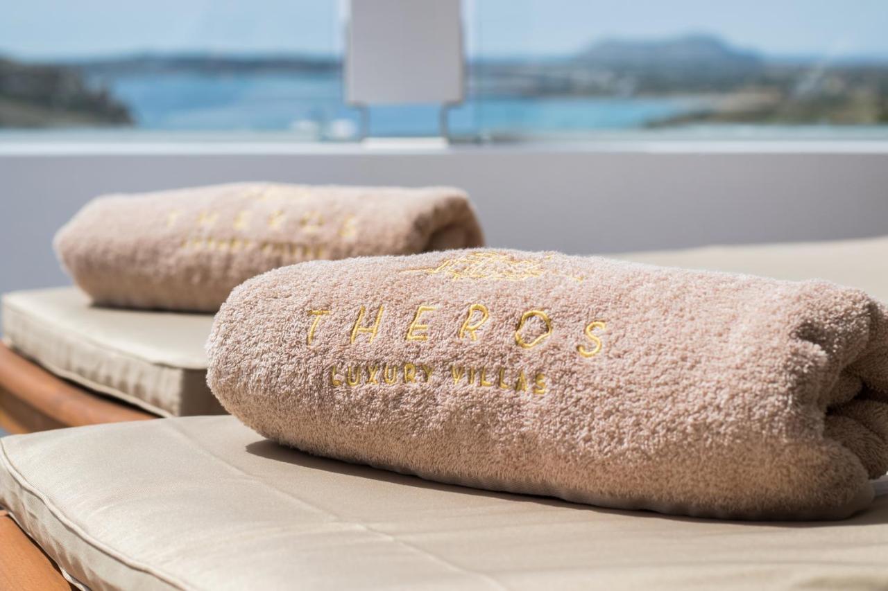 Theros Luxury Villas Damatria Exteriér fotografie